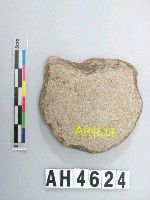 藏品(中型片狀砝碼型石網墜)的圖片